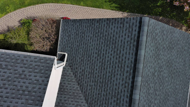 Best Roof Coating and Sealing  in Holiday Island, AR