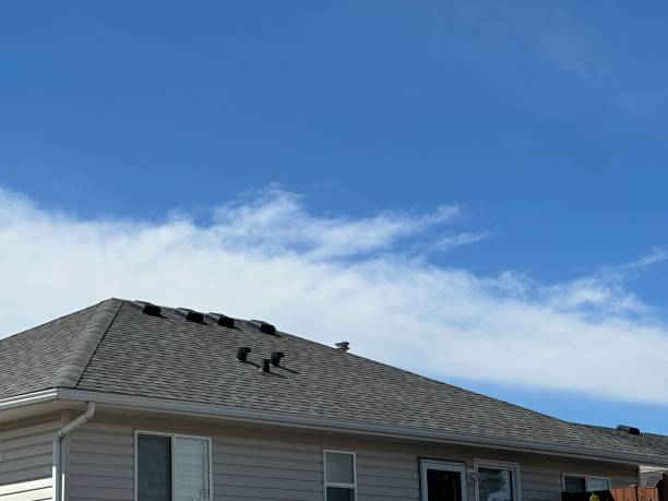 Best Roof Ventilation Installation  in Holiday Island, AR